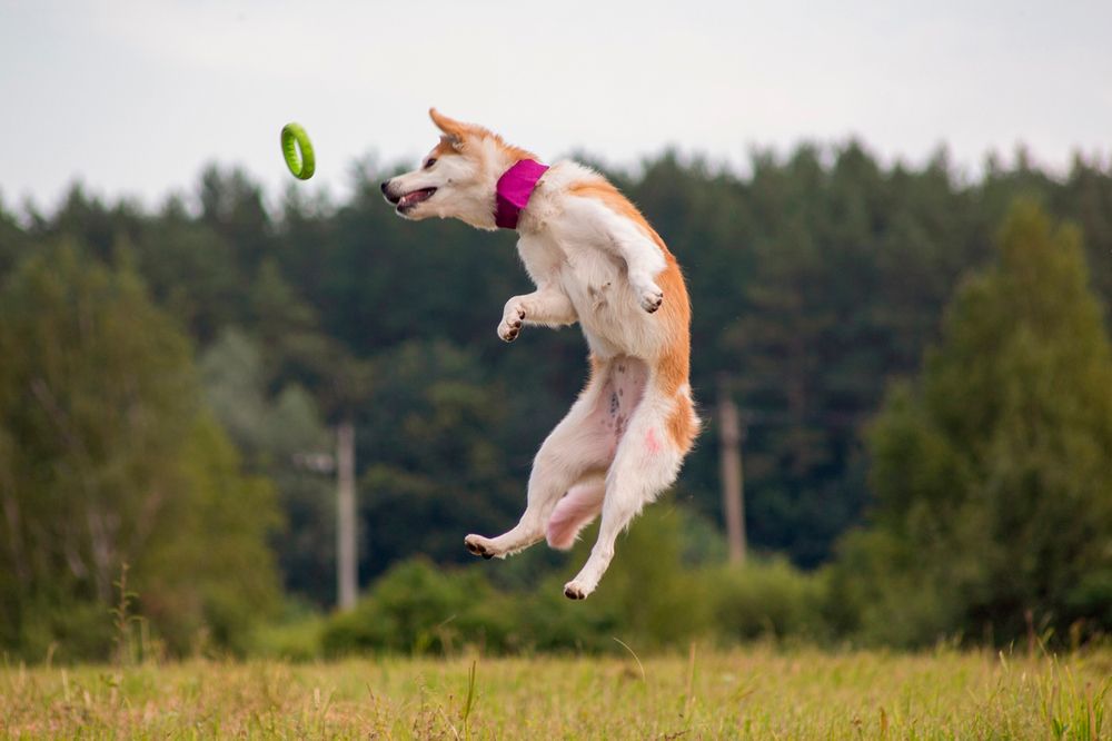 Photograph by Камилла Давлетшина