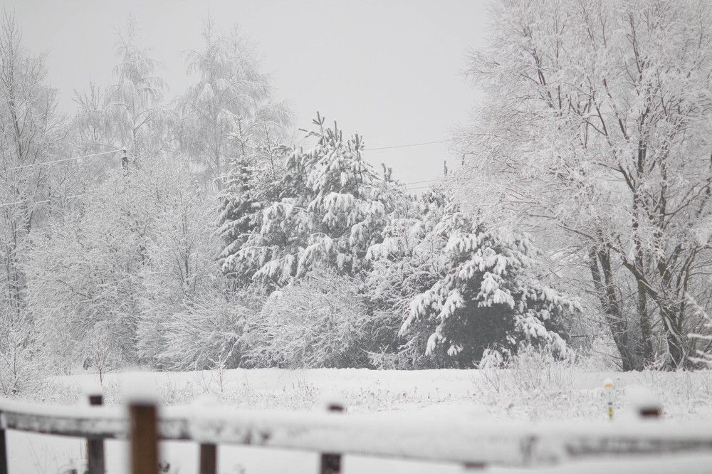 Photograph by Литвиненко Светлана