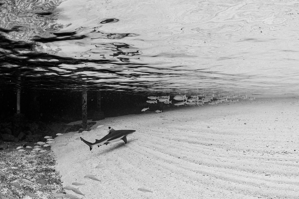 Photograph by Nadya Kulagina