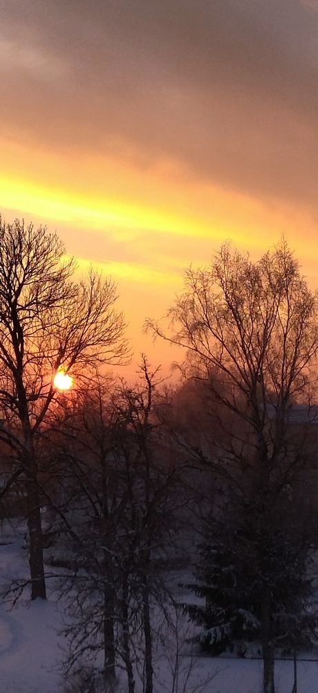 Восход  февральский