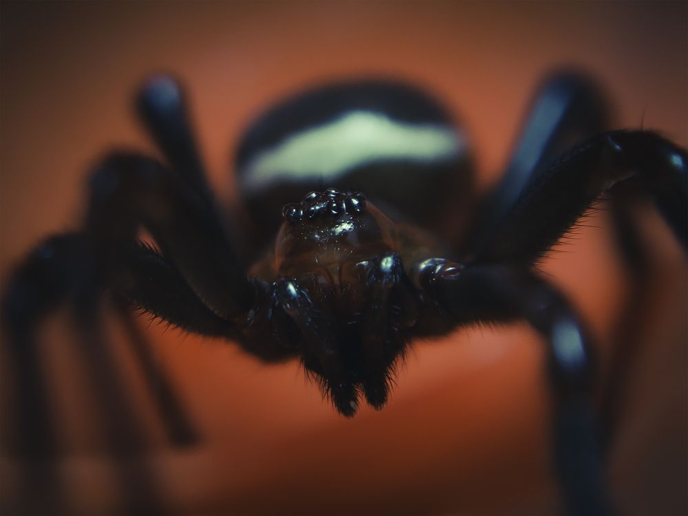 Photograph by Юрий Говорков