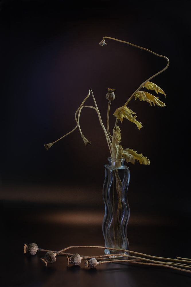 Фотография автора Черновол Валентин