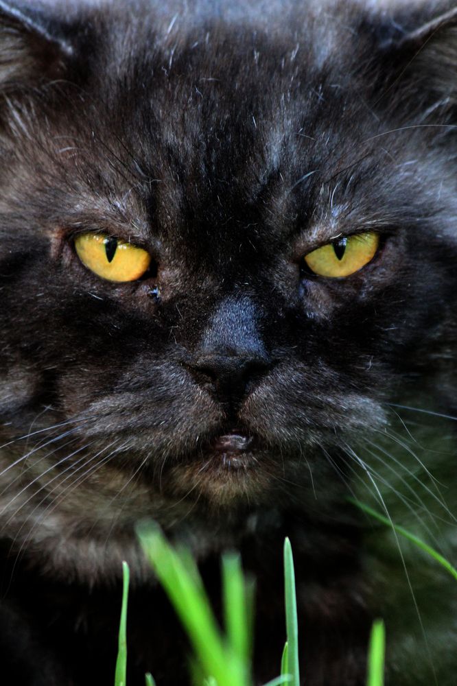 Photograph by Marina Milyaeva