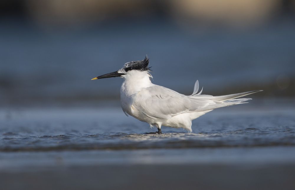 Photograph by Vasos Vasiliou