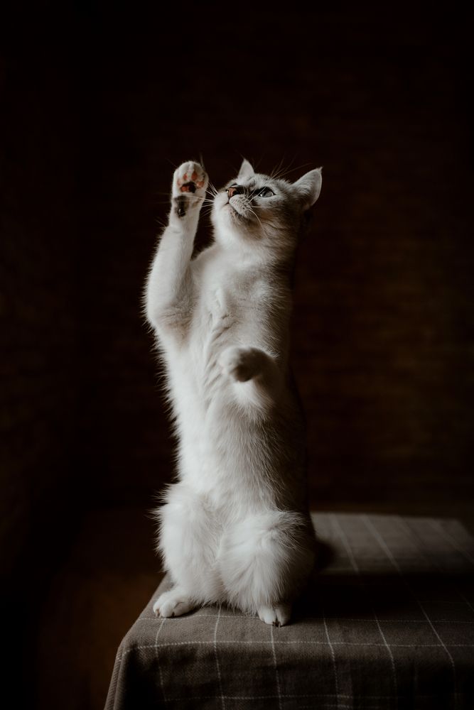 Photograph by Алёна Попова