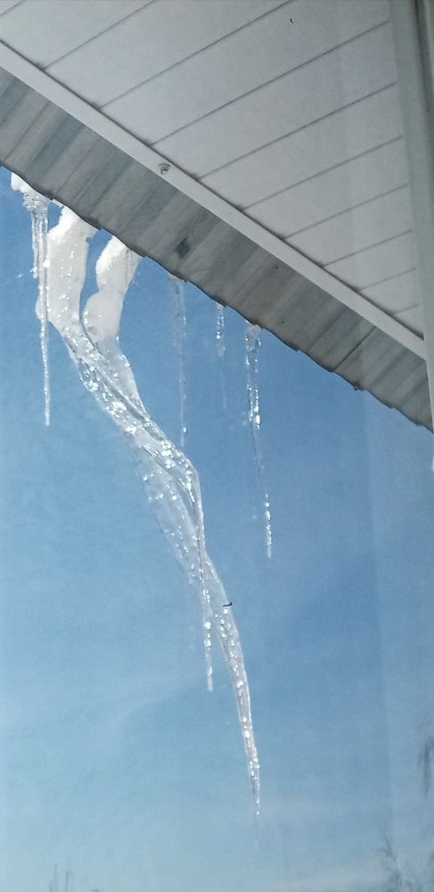Photo #8899314