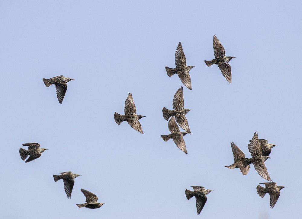 Photograph by Валентина Лопаткина