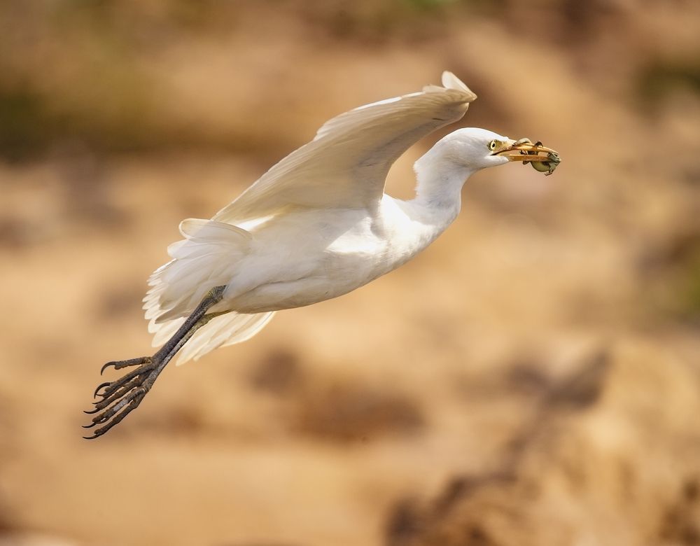 Photograph by רוסלן ברם