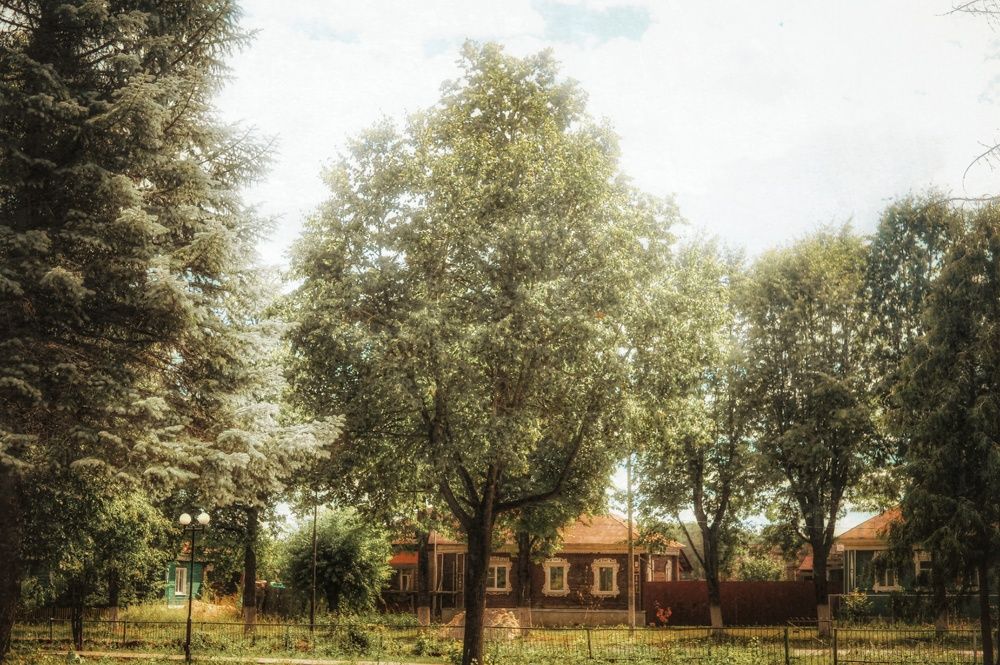 Photograph by Мария Заборовская