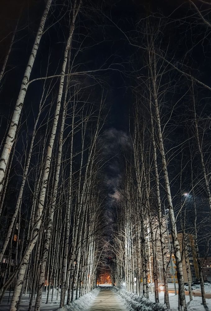 Photograph by Янтарная Елена