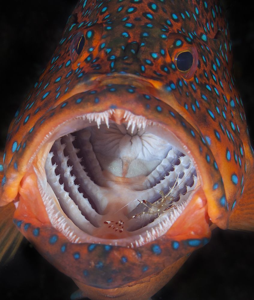 Photograph by Юрий Перевозников