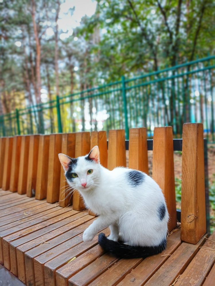 Photograph by Олег Медведев