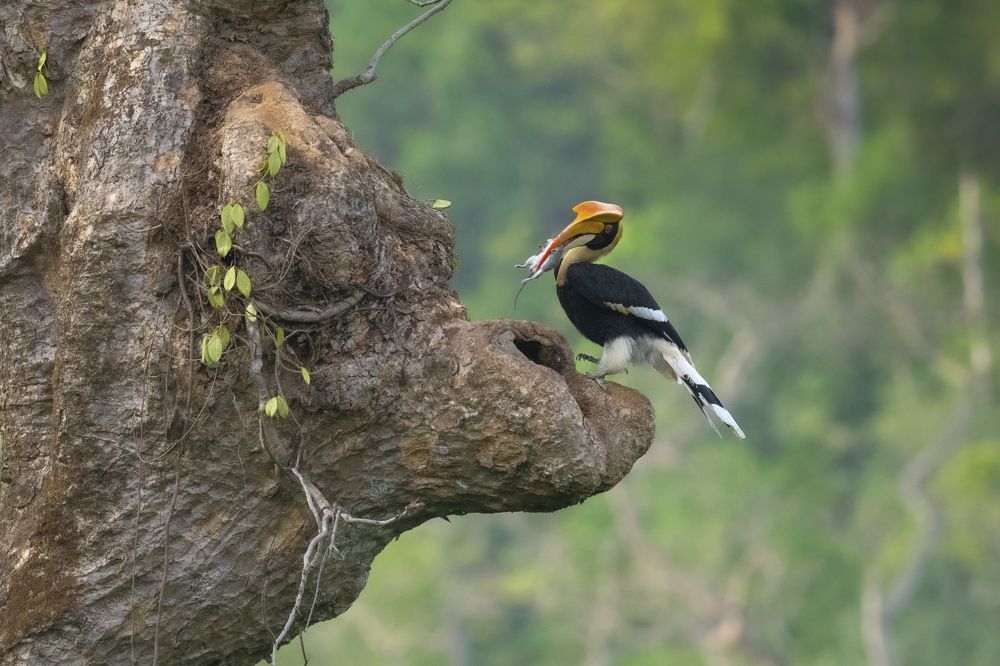 Photograph by Anindita Datta Muhuri