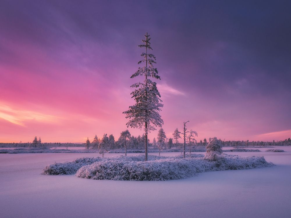 Фотография автора Dmitry Medyancev