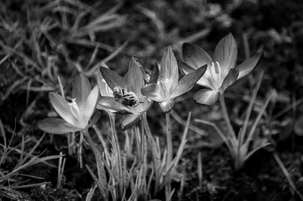 Photograph by Vitalii Kaznin