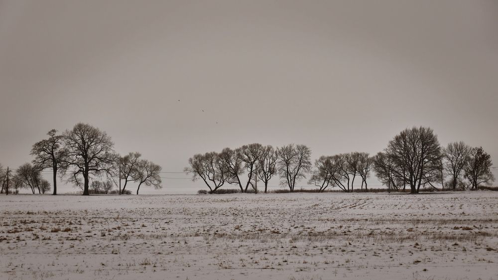 Photograph by Дмитрий