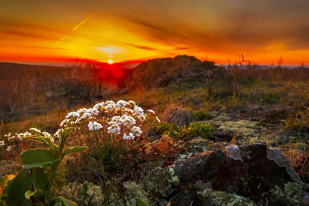 Photograph by Владимир Акиньшин