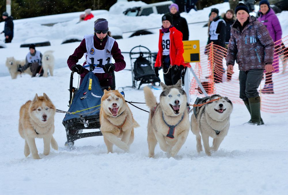 Photograph by Александр Зуев