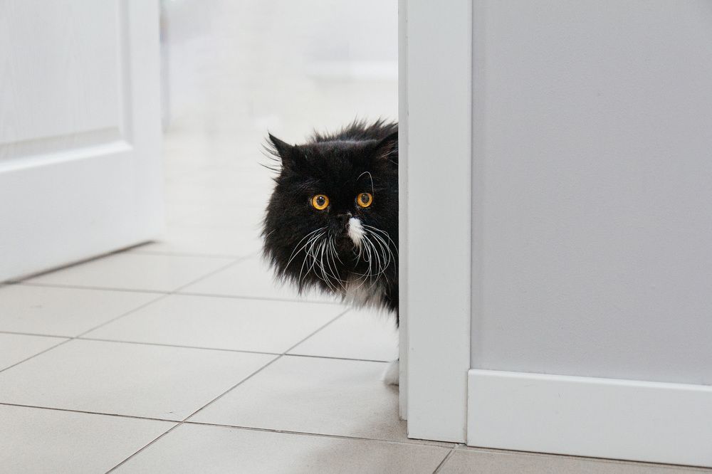 Фотография автора Ольга Анохина