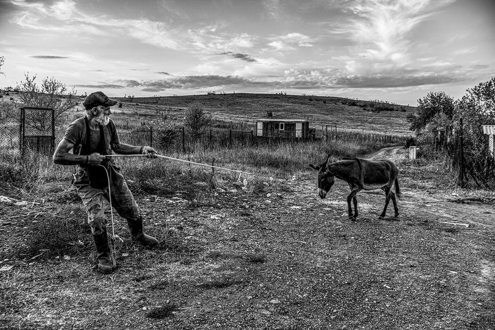 Photograph by Venelin Todorov