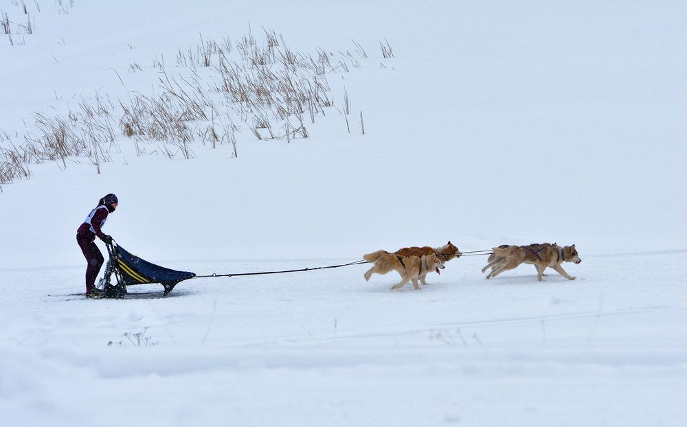 Photograph by Александр Зуев