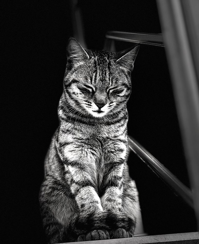 Photograph by Sharma Dr Megha