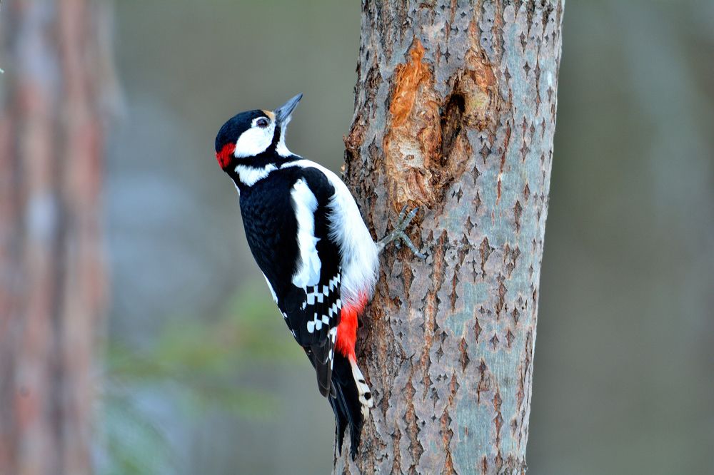 Photograph by Александр Зуев