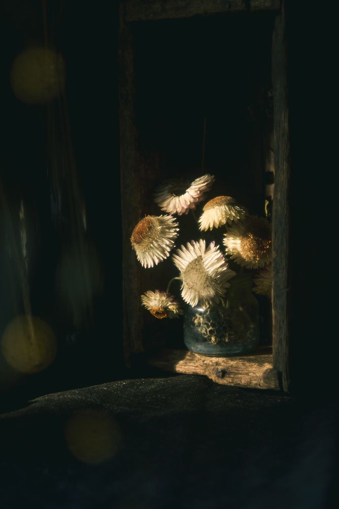 Photograph by Анна Федотова