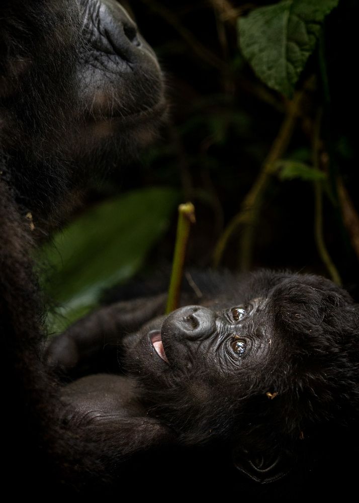 Photograph by Ricardo Ferreira