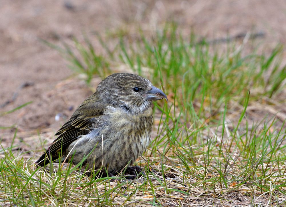 Photograph by Александр Зуев