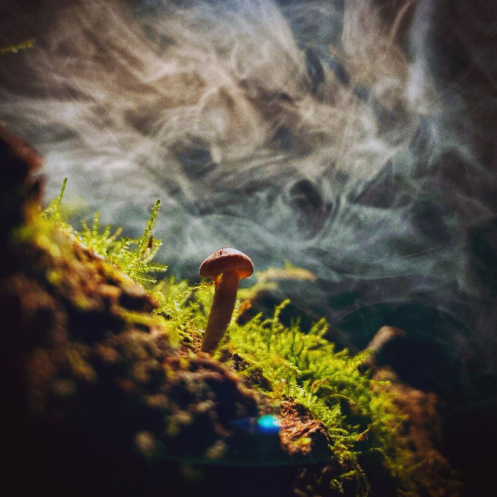 Photograph by Виктор Гагарин