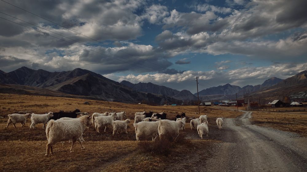 Photograph by Виктор Гагарин