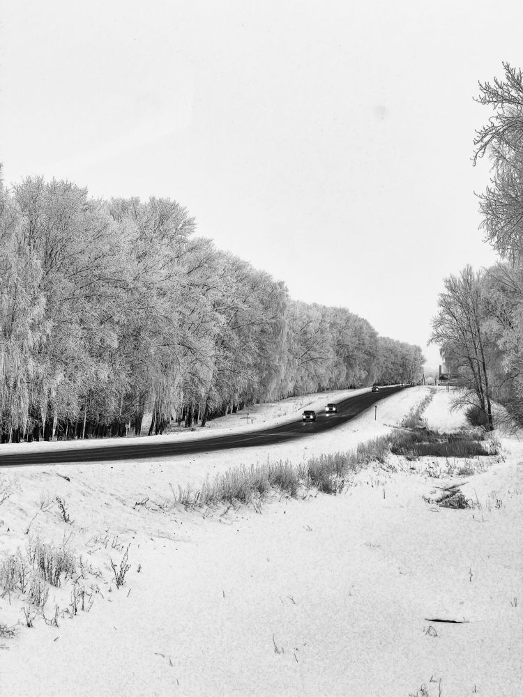 Photograph by Елена Сиушова