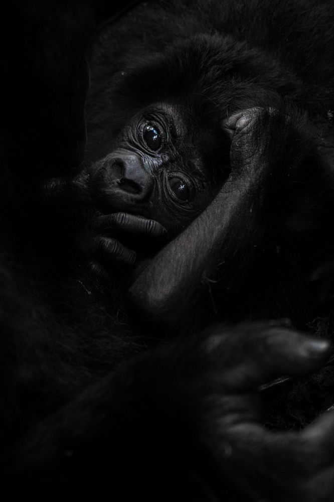 Photograph by Ricardo Ferreira