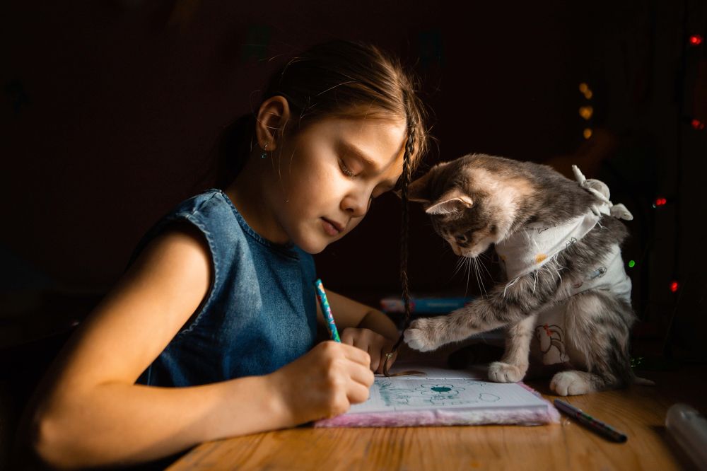 Всегда вместе