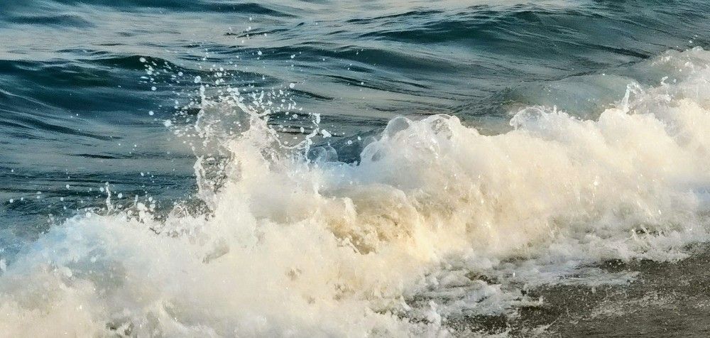 Photograph by Elena Chandran