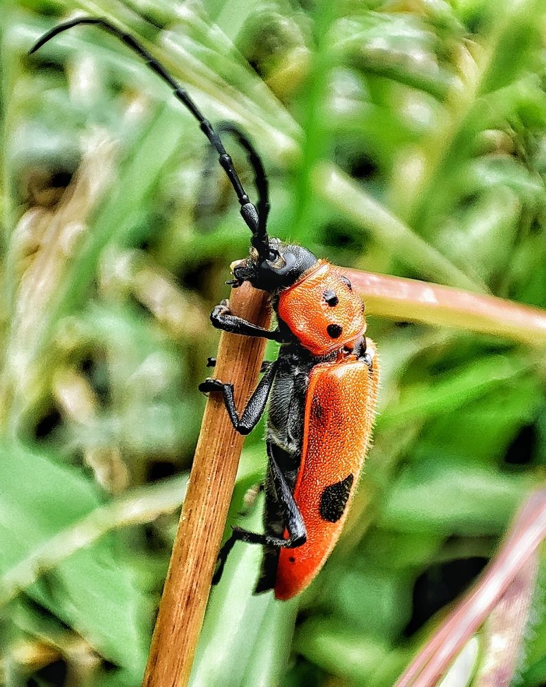 Aferrandose a la naturaleza