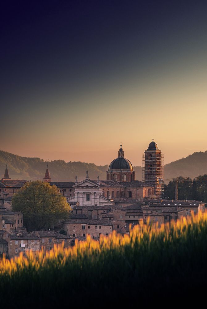 Photograph by Christian Bolognese