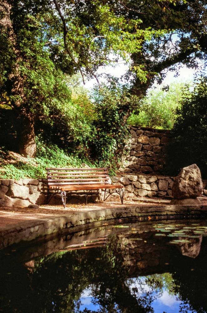 Photograph by Василий Селиванов