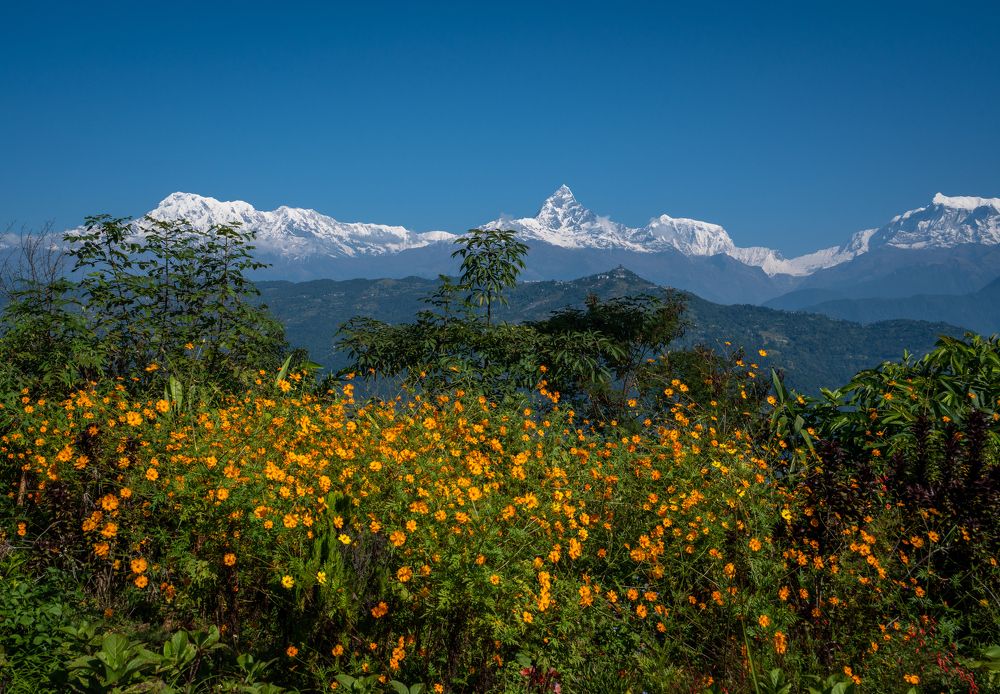 Photograph by Баландин Дмитрий