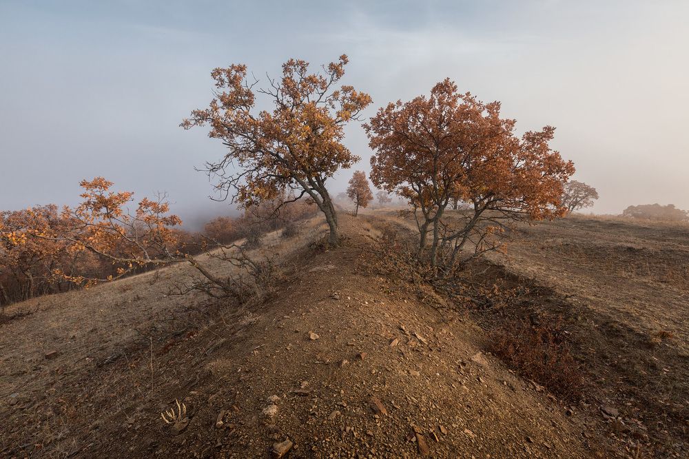 Photograph by Юрий Головченко