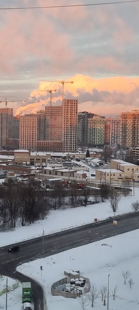 Фотография автора Светлана Алексеева