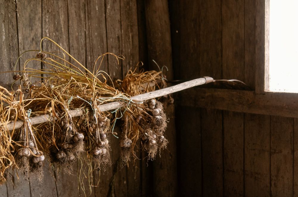 Photograph by Евгения Гловацкая