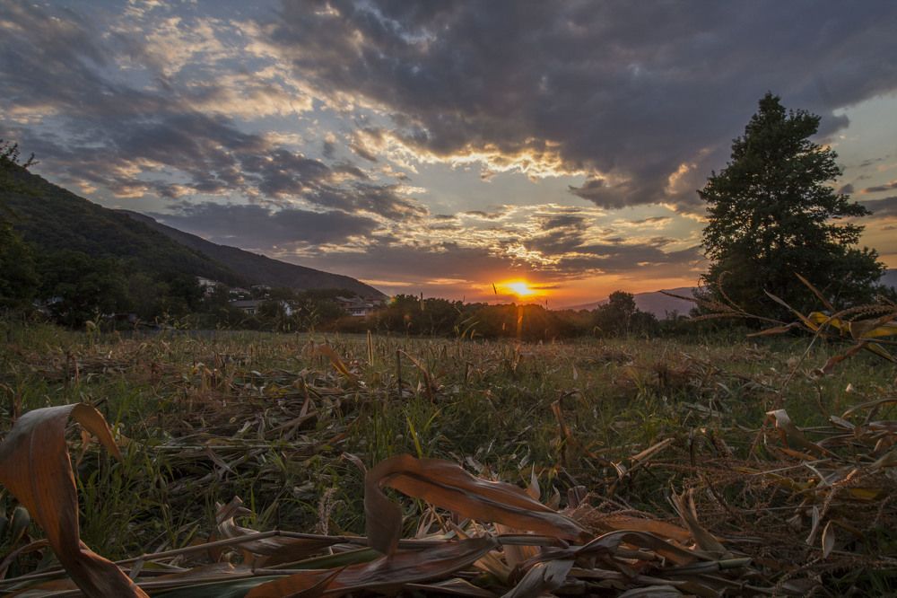 Photograph by iliya levkov