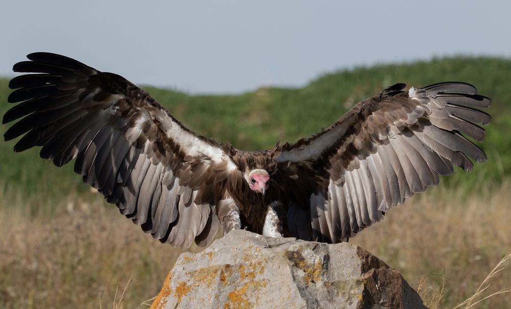 Фотография автора MARIA KULA