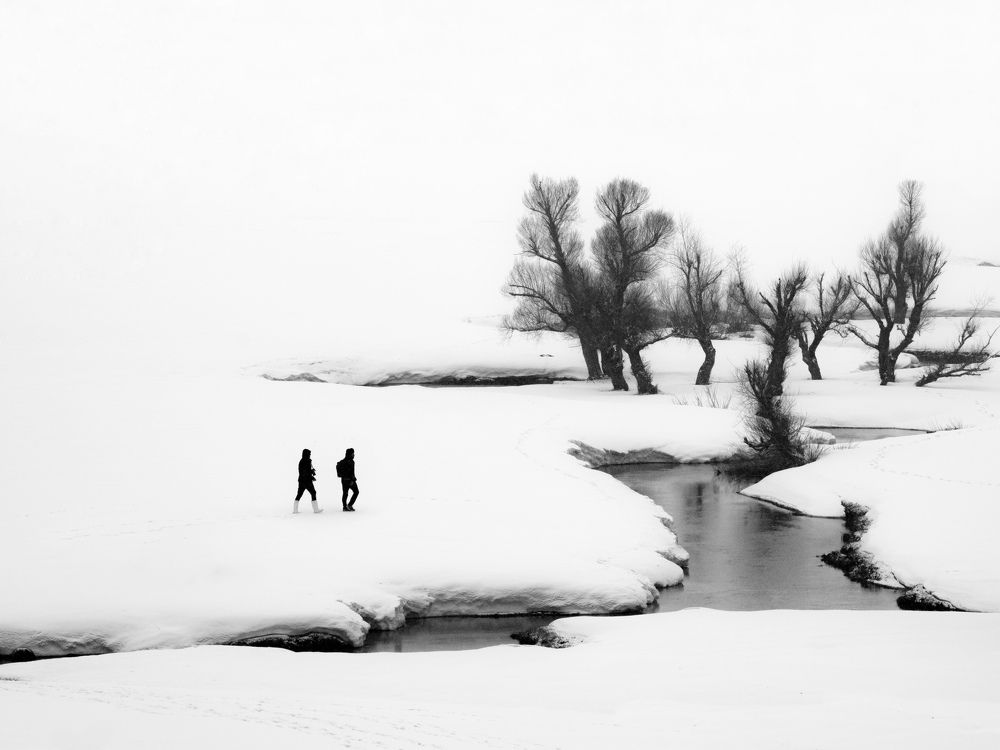 Фотография автора mohammad Alipour