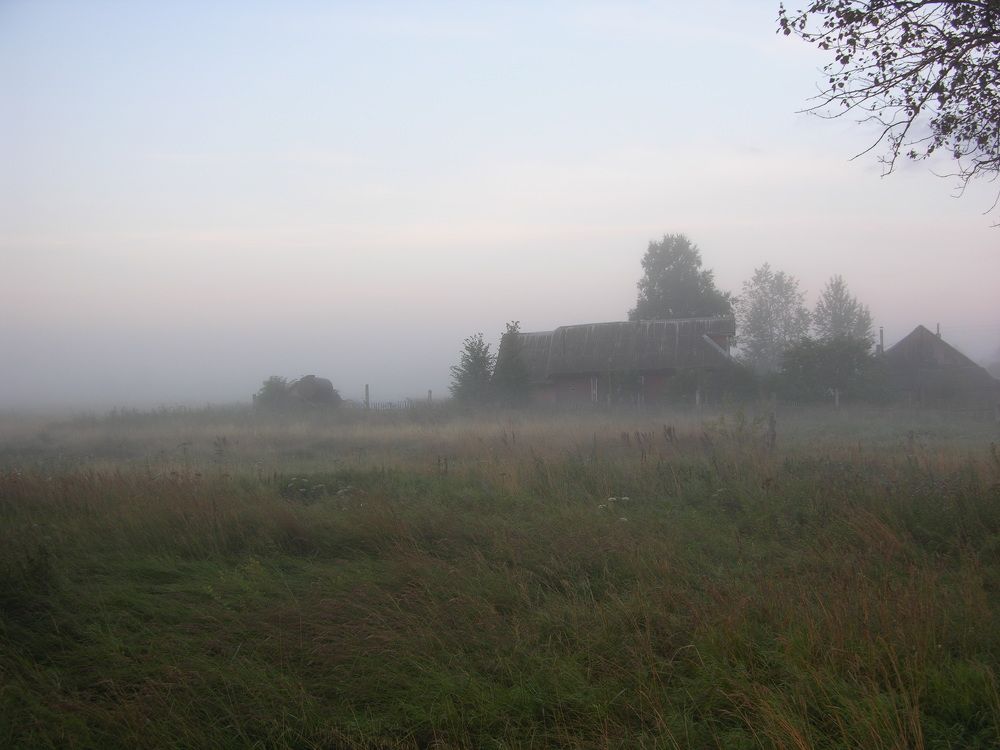 Photo #8900008
