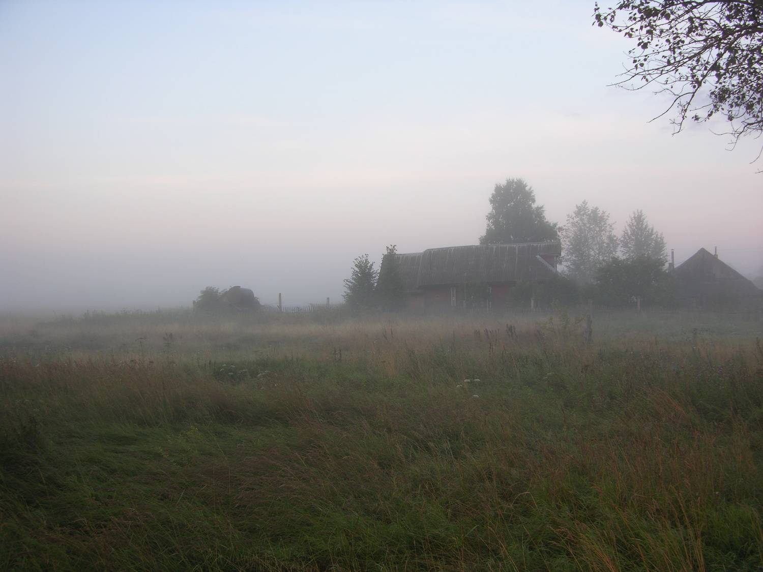 Photo #8900008