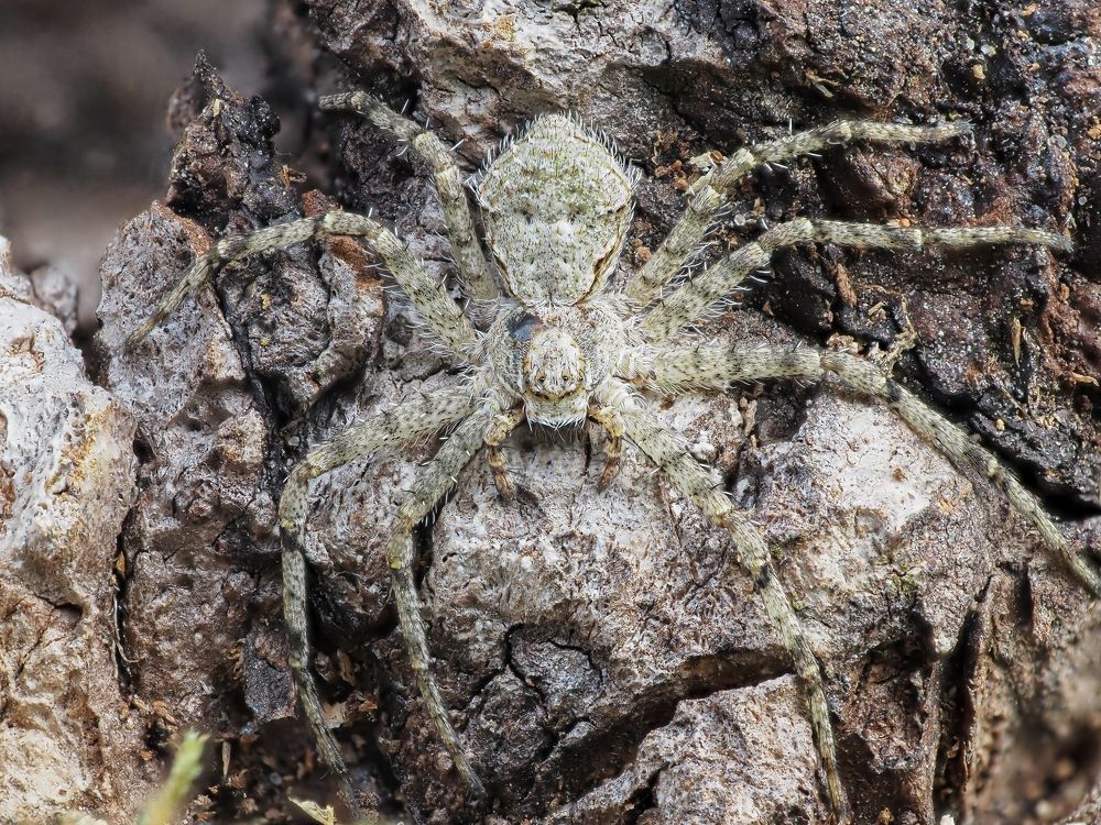 Photograph by Максим Кошелев