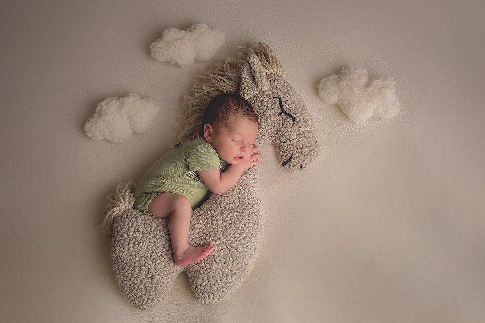 Photograph by OKSANA GIMELFARB